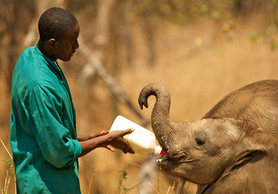 Visit to the Elephant Orphanage
